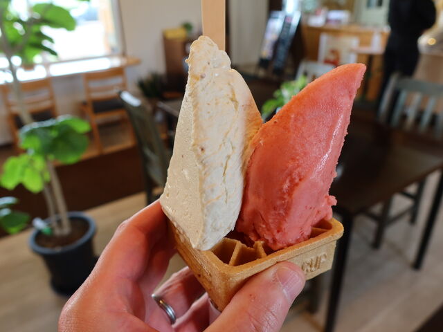 yosshỹWF[gJtF YOSHIDA̓eʐ^4