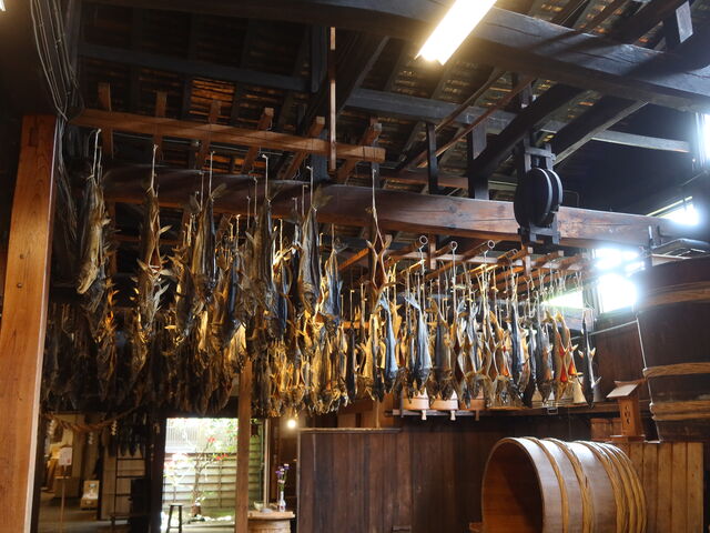 ���������ς��Ԃ牺�����Ă�_��N�� ��������