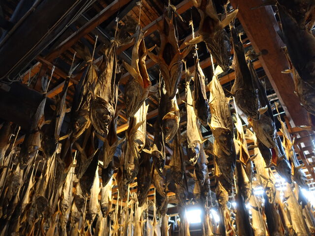 ���������̑�H_��N�� ��������