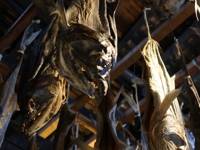 ��������_��N�� ��������