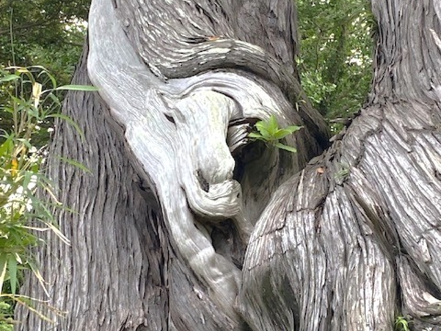 �Ðh�F����̎O��̃r���N�V���̓��e�ʐ^4