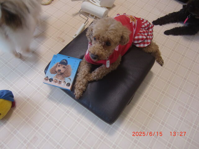 ���������ɂ����낢��Ȃ��d��������݂����ł�_���ʂ̂�����@��˓X