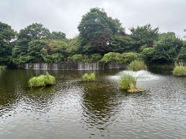 ��̑�_�s����������������