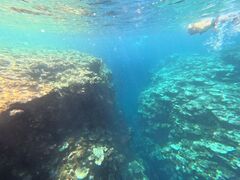 Ȃ̐Ί_ ADVENTURE PiPiւ̓eʐ^1