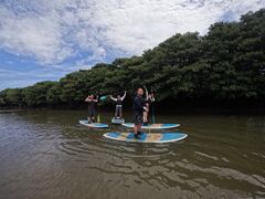 ₳̐Ί_ ADVENTURE PiPiւ̓eʐ^1