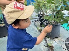 Ȃ̂̂̃u[x[ւ̓eʐ^1