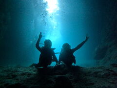 AxDiving@Shop Leii_CrOVbvCjւ̓eʐ^1