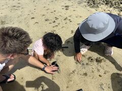 ̂񂳂̂[[Ԃւ̓eʐ^1