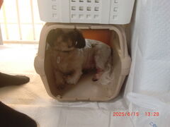 St@̂ʂ̂@˓Xւ̓eʐ^3