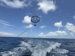 ͂񂳂̋{ÓpZ[O all good marine 385ւ̓eʐ^1