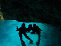 ̂񂳂̃_Cu (MalDive)ւ̓eʐ^1