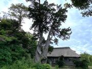 �Ðh�F����̓������Ձi�O������Ձj�̓��e�ʐ^3