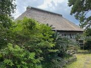 �Ðh�F����̓������Ձi�O������Ձj�̓��e�ʐ^3