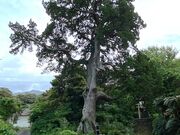 �Ðh�F����̎O��̃r���N�V���̓��e�ʐ^2