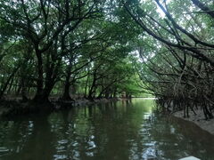 ̂񂳂̐Ί_ ADVENTURE PiPiւ̓eʐ^1