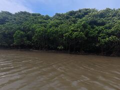 ̐Ί_ ADVENTURE PiPiւ̓eʐ^1