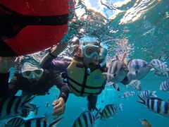 ЂłDiving@Shop Leii_CrOVbvCjւ̓eʐ^1