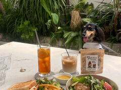 N.Y&t cafeւ̓eʐ^1