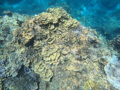 yeaji̐Ί_V[T[ւ̓eʐ^1