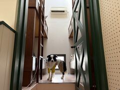 4l̂[񂳂̂났̐X@O[sAւ̓eʐ^1