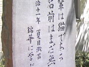 �T���v������̐V�h�旧���Ό����̓��e�ʐ^5