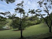 4l̂[񂳂̖̊ق̓eʐ^1