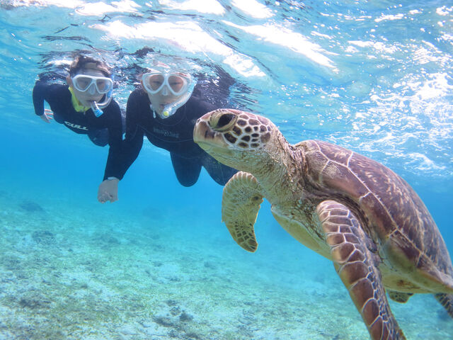 ���̂悤�Ȏʐ^���������񒸂��܂����I_�A�}�~�G���V�X