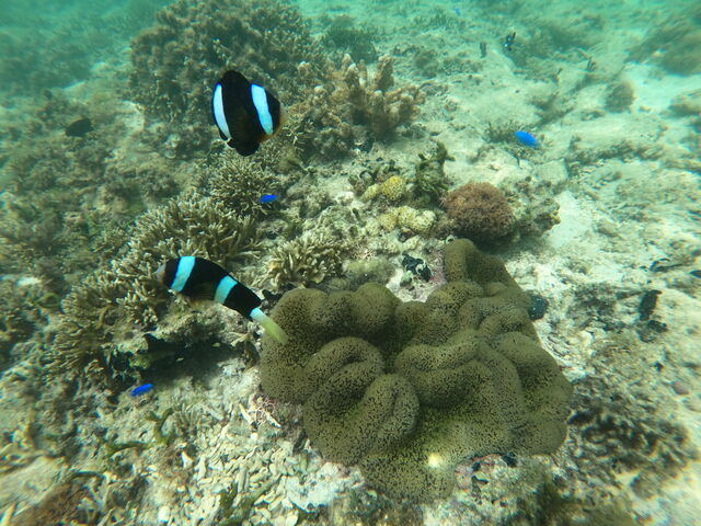 ������������_WEEKEND