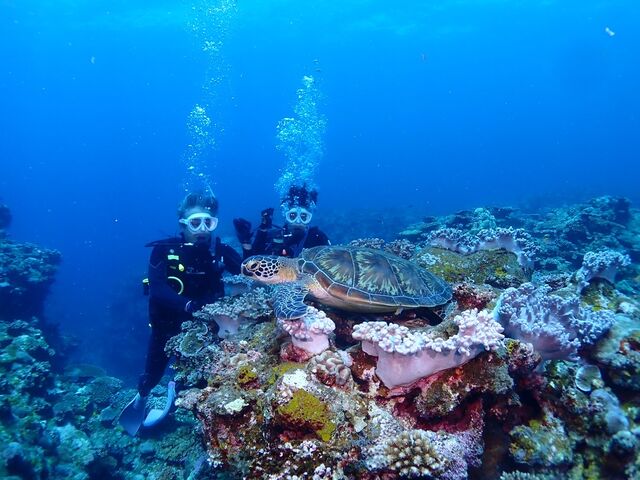 ���C���E�~�K���ɑ�������_DIVING SHOP RYAAAN