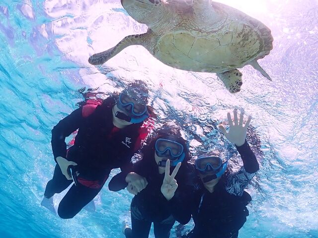 ���ۂ̎ʐ^�ł���
�����Ȃ��ł����[_�ɗǕ����c�A�[�@�}�J�i