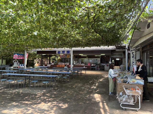 ���̑��ɂ��F�X�̔����Ă���܂��B_������