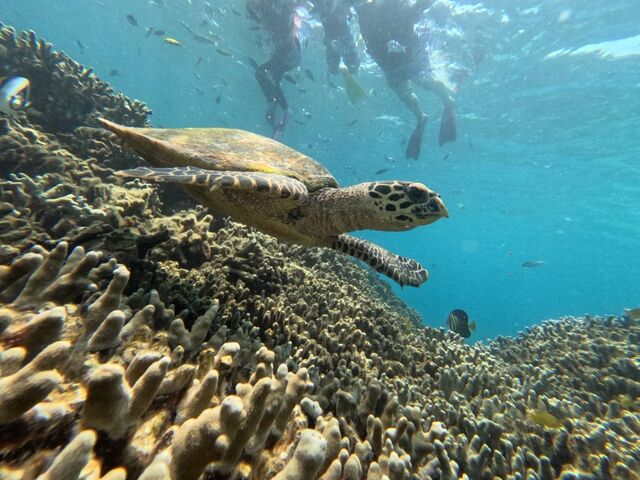 E~KƂ̃VbgA肪Ƃ܂_}X^WI