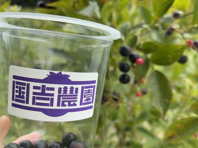 �����A��p�e��@300g���炢�͂���܂�
100g200�~_���g�_��