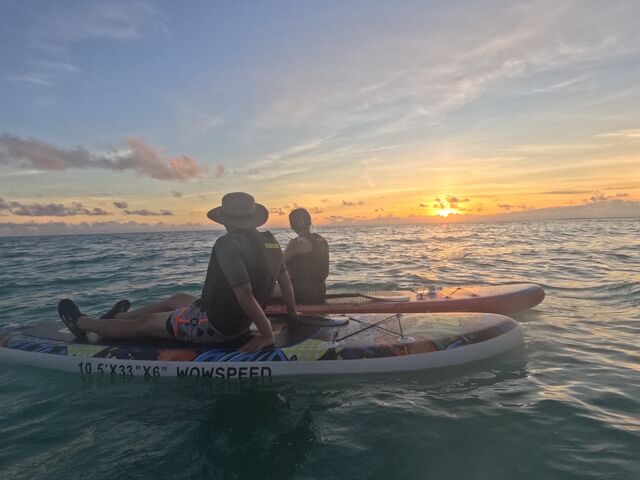 �T���Z�b�g�T�b�v�c�A�[�I_�C�P�����p���_�C�X �{�Ó�