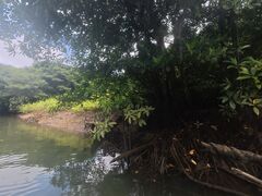 Ȃ邳̐Ί_ ADVENTURE PiPiւ̓eʐ^1