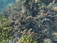 RatẽANA}AeB[iւ̓eʐ^1