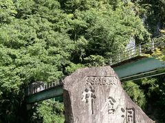 �n�����Y����̈�q���ւ̓��e�ʐ^1