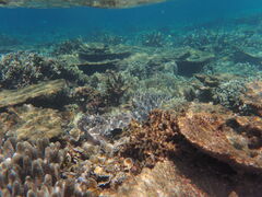 RatẽANA}AeB[iւ̓eʐ^1