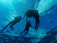 ̂̂̂̐Ί_ ADVENTURE PiPiւ̓eʐ^1