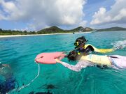 Ȃ肳̂܂݃}ANeBreB--̓eʐ^2