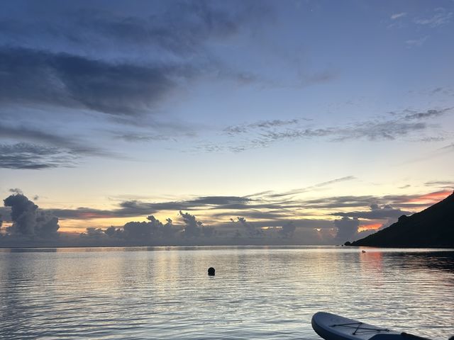 �T�����C�Y�T�b�v��钼�O�̎ʐ^(6:00��)_�C�P�����p���_�C�X �{�Ó�