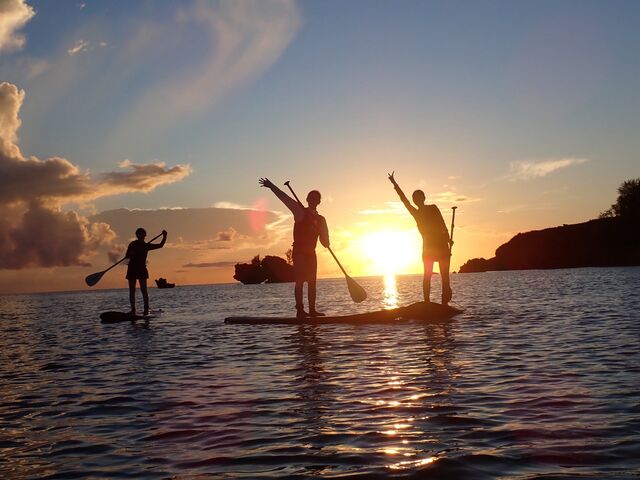 [zobNɁcVGbgfGI_A[XVbv