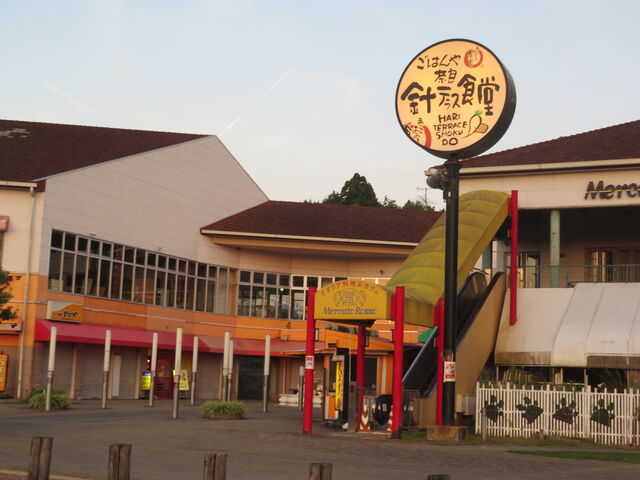 ���̉w �j�e���X_���̉w �j�e���X