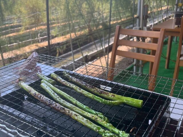 �ł��Ă��ƂĂ����������c�܂ŏ_�炩�������ł�_�Έ�t�@�[��