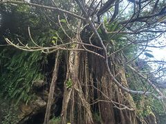 chiiiĩu[tB[hւ̓eʐ^1