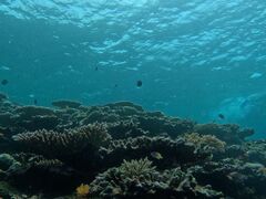 Ί_ ADVENTURE PiPi̎ʐ^2