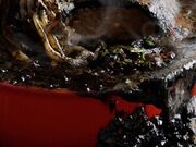 RURȖ{K[ft@[ {X̓eʐ^1