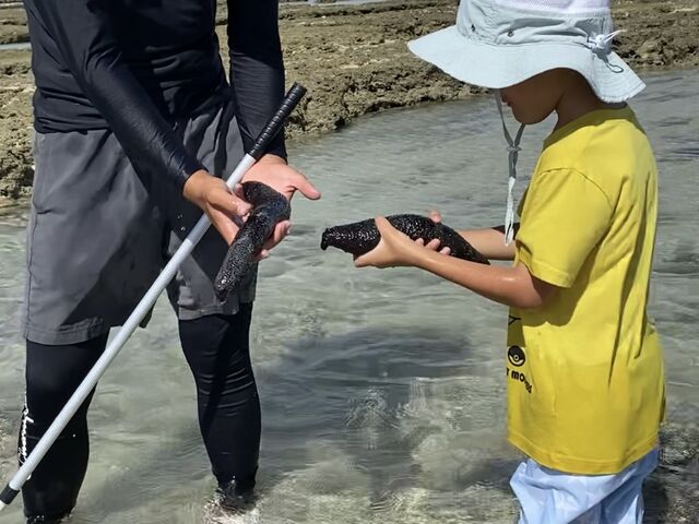 �j�Z�N���i�}�R�̑傫���Ό�_��[��[�����