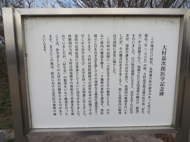 Ԃ񂳂̑呺vYwLO̓eʐ^2