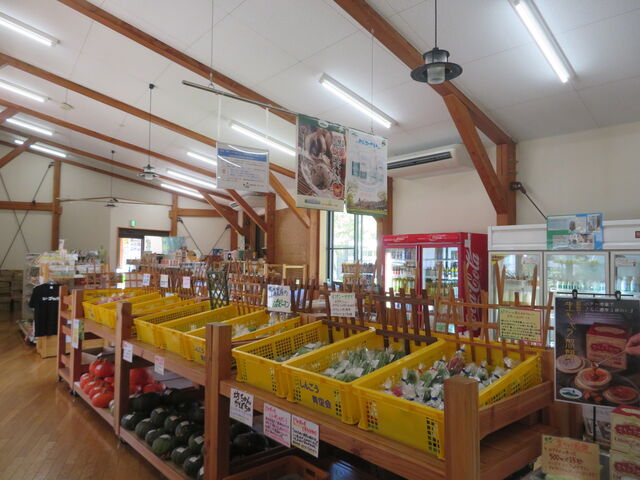 L̓̉w  񂲂uԖ؃mO[p[Nv̓eʐ^3